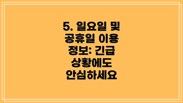 5. 일요일 및 공휴일 이용 정보: 긴급 상황에도 안심하세요