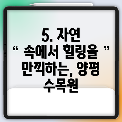 5. 자연 속에서 힐링을 만끽하는, 양평 수목원