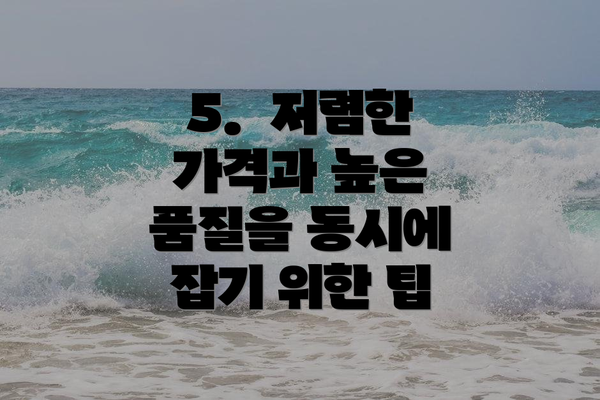 5.  저렴한 가격과 높은 품질을 동시에 잡기 위한 팁