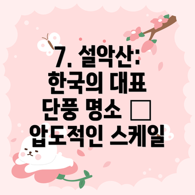 7. 설악산: 한국의 대표 단풍 명소 – 압도적인 스케일