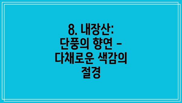 8. 내장산: 단풍의 향연 - 다채로운 색감의 절경