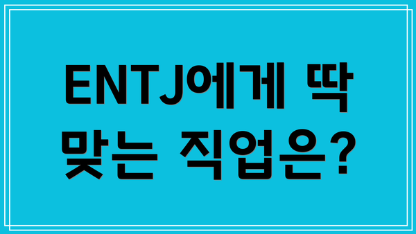ENTJ에게 딱 맞는 직업은?