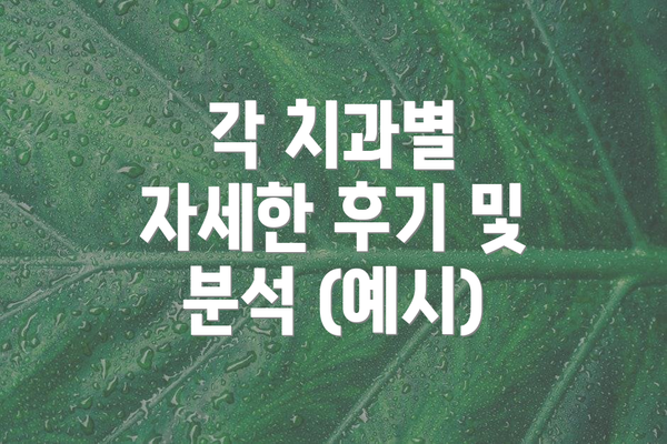 각 치과별 자세한 후기 및 분석 (예시)