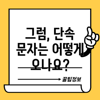 그럼, 단속 문자는 어떻게 오나요?