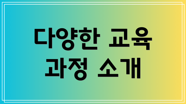 다양한 교육 과정 소개