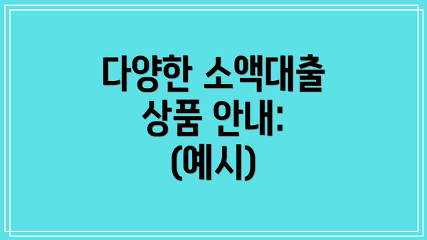 다양한 소액대출 상품 안내: (예시)