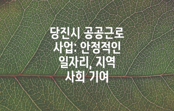 당진시 공공근로 사업: 안정적인 일자리, 지역 사회 기여