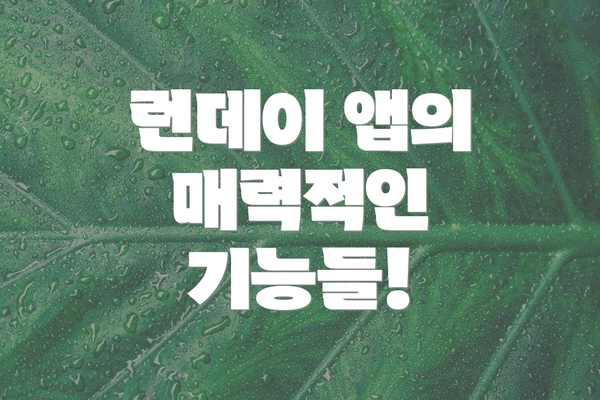 런데이 앱의 매력적인 기능들!