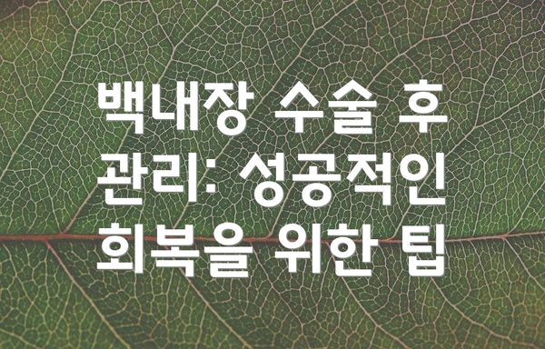 백내장 수술 후 관리: 성공적인 회복을 위한 팁
