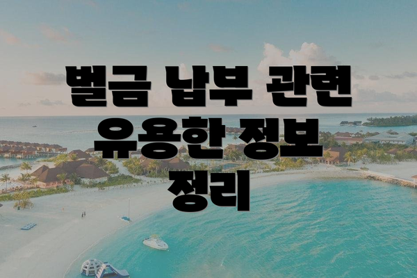 벌금 납부 관련 유용한 정보 정리