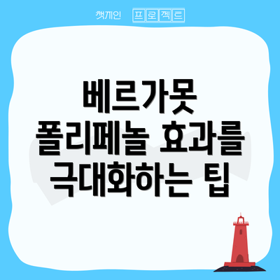 베르가못 폴리페놀 효과를 극대화하는 팁