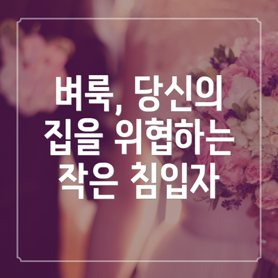 벼룩, 당신의 집을 위협하는 작은 침입자