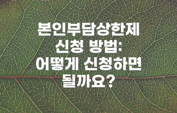 본인부담상한제 신청 방법: 어떻게 신청하면 될까요?