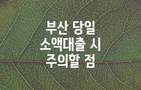 부산 당일 소액대출 시 주의할 점