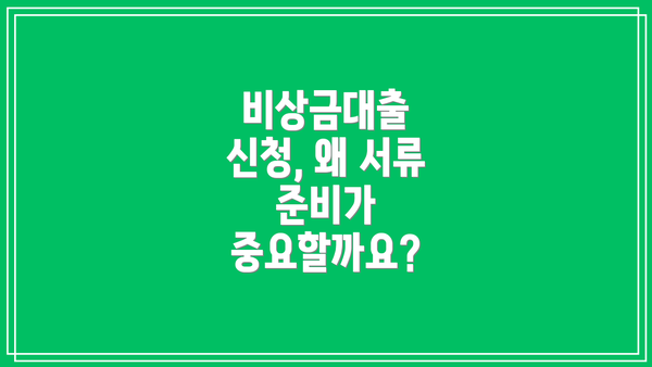 비상금대출 신청, 왜 서류 준비가 중요할까요?