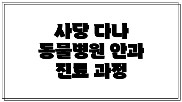 사당 다나 동물병원 안과 진료 과정