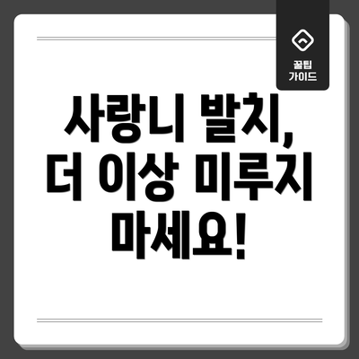 사랑니 발치, 더 이상 미루지 마세요!