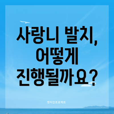 사랑니 발치, 어떻게 진행될까요?
