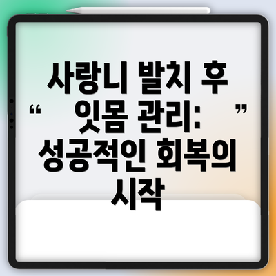 사랑니 발치 후 잇몸 관리: 성공적인 회복의 시작