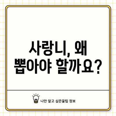 사랑니, 왜 뽑아야 할까요?