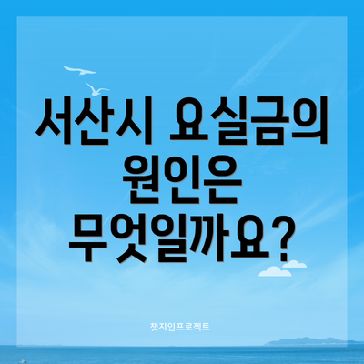 서산시 요실금의 원인은 무엇일까요?