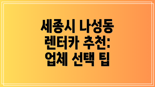 세종시 나성동 렌터카 추천:  업체 선택 팁