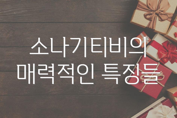 소나기티비의 매력적인 특징들