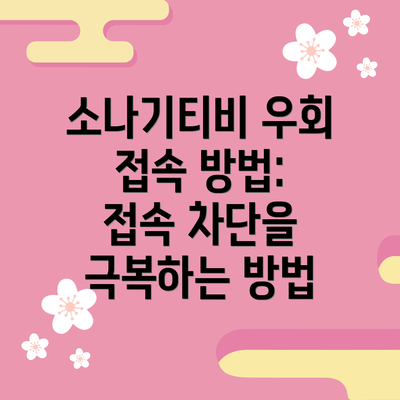 소나기티비 우회 접속 방법: 접속 차단을 극복하는 방법