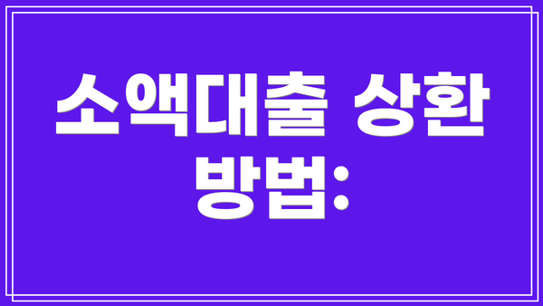 소액대출 상환 방법: