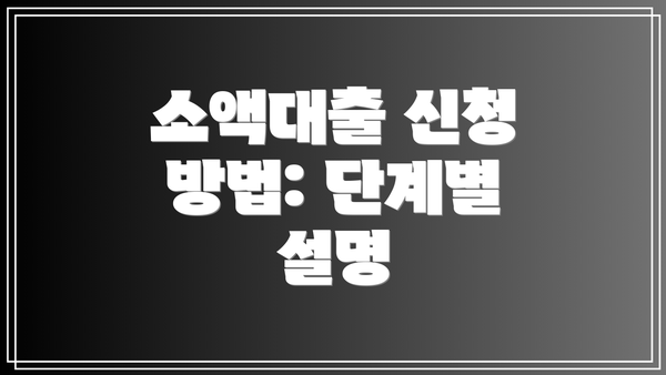 소액대출 신청 방법: 단계별 설명