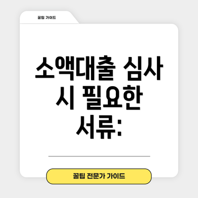 소액대출 심사 시 필요한 서류: