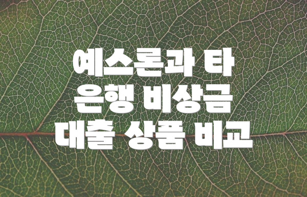 예스론과 타 은행 비상금 대출 상품 비교