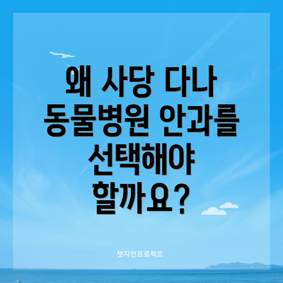 왜 사당 다나 동물병원 안과를 선택해야 할까요?