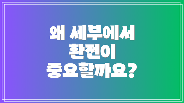 왜 세부에서 환전이 중요할까요?