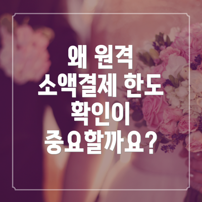 왜 원격 소액결제 한도 확인이 중요할까요?