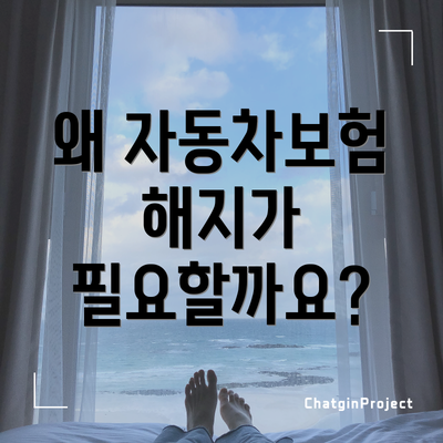 왜 자동차보험 해지가 필요할까요?