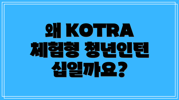 왜 KOTRA 체험형 청년인턴십일까요?