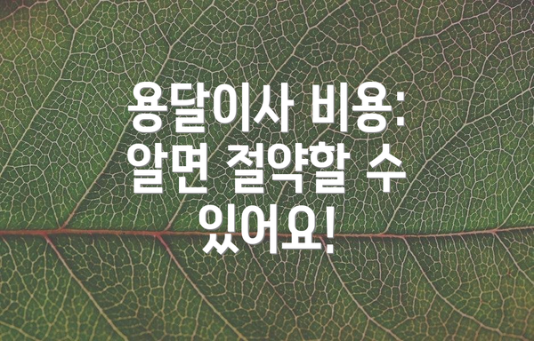 용달이사 비용: 알면 절약할 수 있어요!