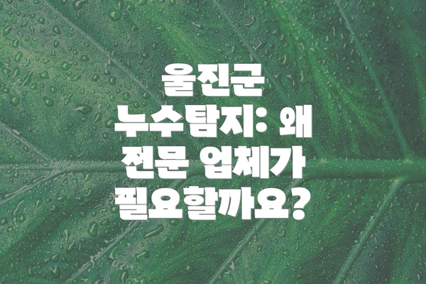 울진군 누수탐지: 왜 전문 업체가 필요할까요?
