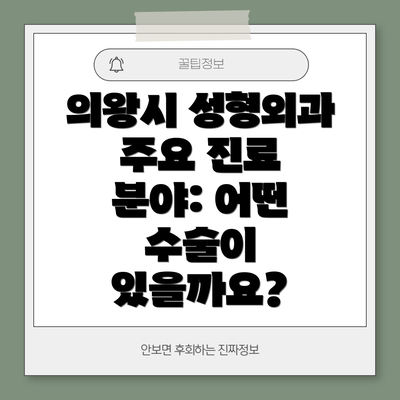 의왕시 성형외과 주요 진료 분야: 어떤 수술이 있을까요?