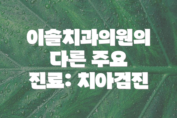 이솔치과의원의 다른 주요 진료: 치아검진