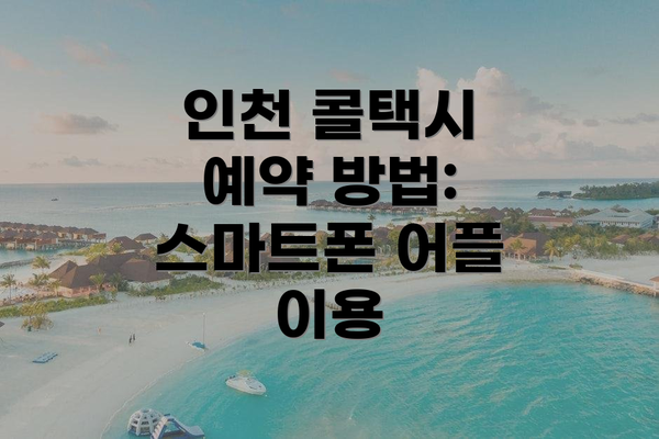 인천 콜택시 예약 방법: 스마트폰 어플 이용