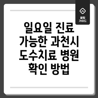 일요일 진료 가능한 과천시 도수치료 병원 확인 방법