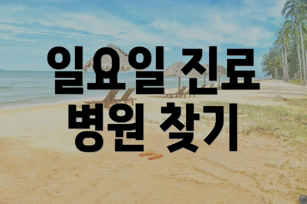 일요일 진료 병원 찾기