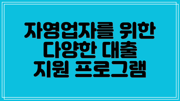 자영업자를 위한 다양한 대출 지원 프로그램