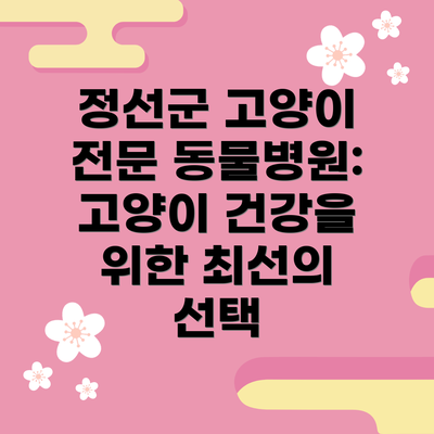 정선군 고양이 전문 동물병원: 고양이 건강을 위한 최선의 선택
