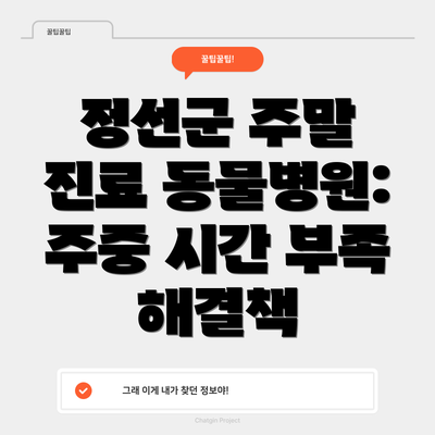 정선군 주말 진료 동물병원: 주중 시간 부족 해결책