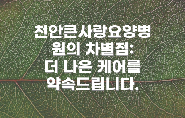 천안큰사랑요양병원의 차별점:  더 나은 케어를 약속드립니다.