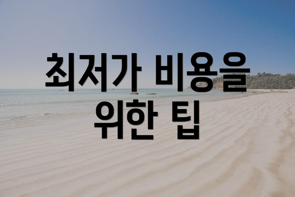 최저가 비용을 위한 팁