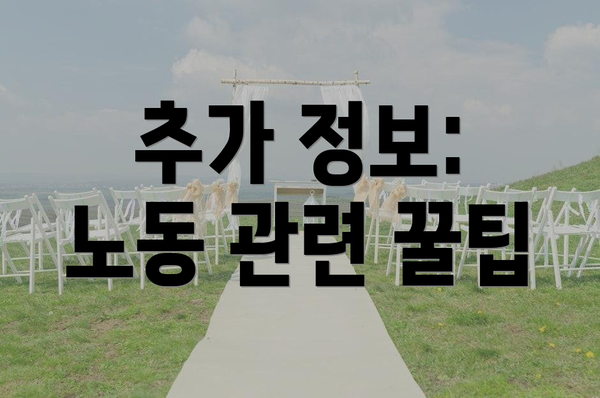 추가 정보: 노동 관련 꿀팁